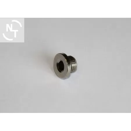 Korek z oringiem G 1/8" Z