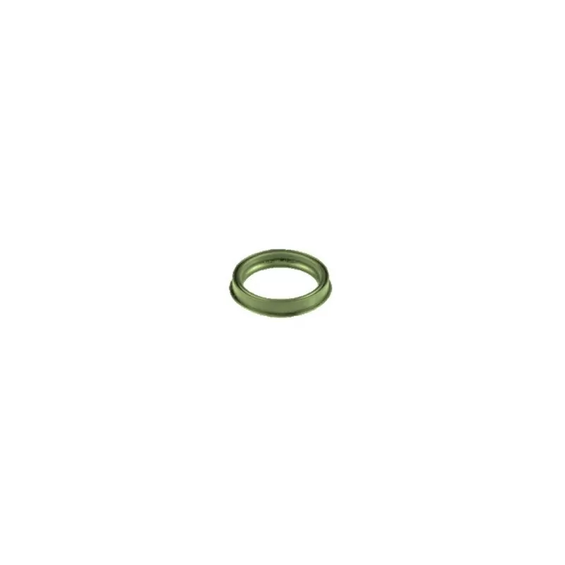 Uszczelka ssawna 52 VITON
