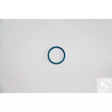 Uszczelka złącza spożywczego 2 1/2" DN 65